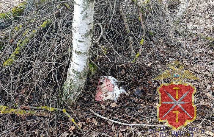 Закладчица из Тулы оспорила в суде 11-летний срок