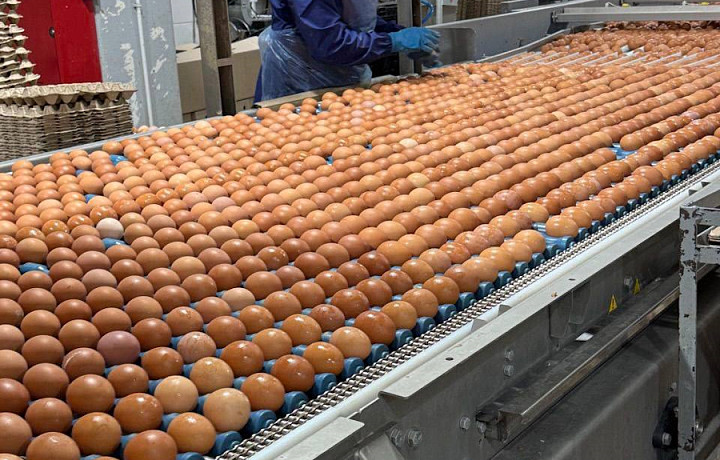 В Тульской области на 30% увеличат объём производств яиц