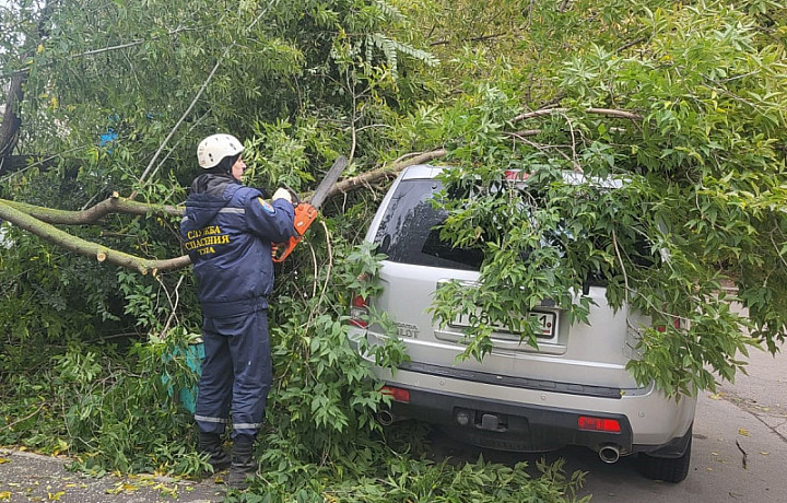 Городские службы начали устранение последствий циклона «Рейли» в Туле