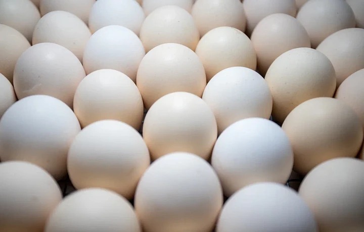 Удар по яйцам: в Тульской области сильно снизилось потребление продукта – до 212 штук в год