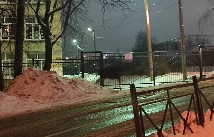 На улицах Ясногорска заметили лося