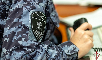 За неделю тульские росгвардейцы пресекли 25 административных правонарушений