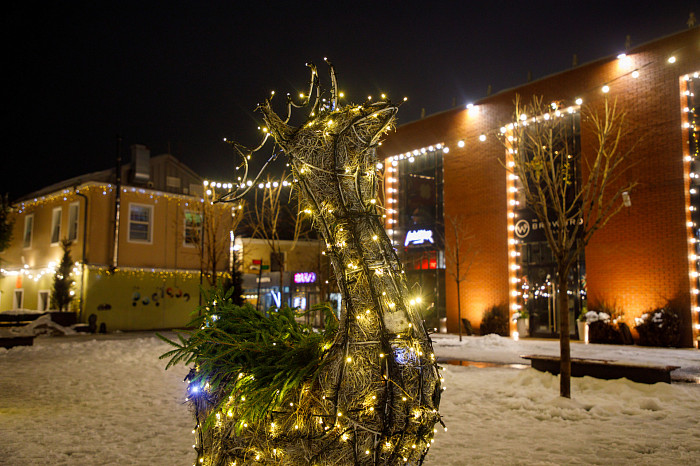 Где сделать красивые новогодние фотографии в Туле