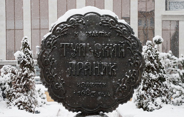 Проект «Зима по-тульски» стартовал 1 декабря