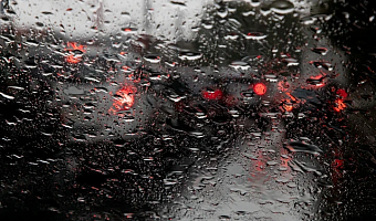 Дожди, туман и до +3 градусов ожидаются в Туле 21 ноября