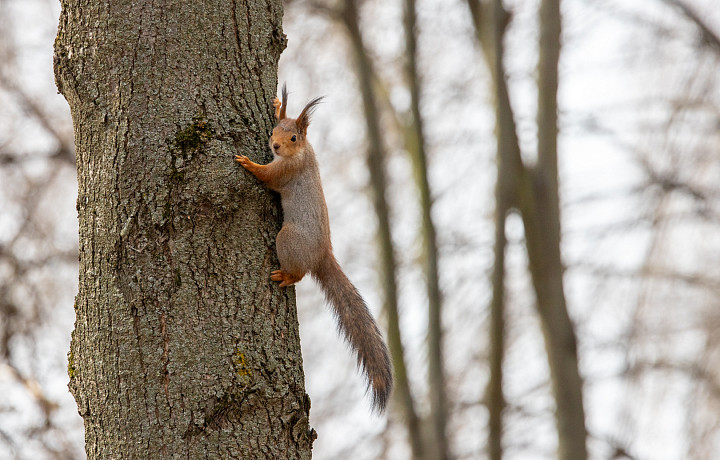 ﻿На выходных в Тулу и область придет 15-градусное тепло
