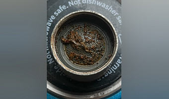 Жители Узловой сообщили о червях в воде из-под крана