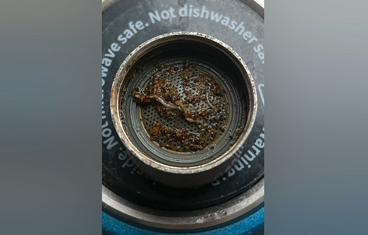 Жители Узловой сообщили о червях в воде из-под крана