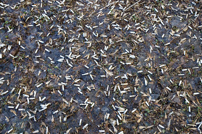 Идет – бычок валяется: фоторепортаж с улиц Тулы, от которого хочется прокашляться