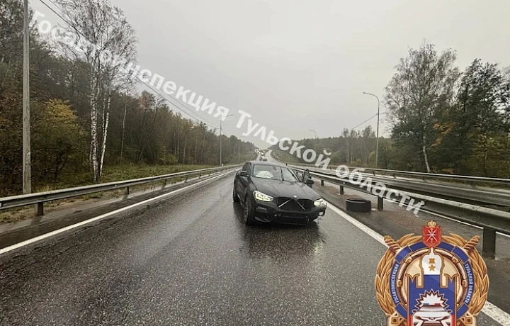 Девятилетняя девочка пострадала в ДТП с «БМВ Х4» на М-2 «Крым» в Туле