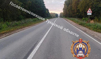 В Заокском районе водитель Mitsubishi сбил лося