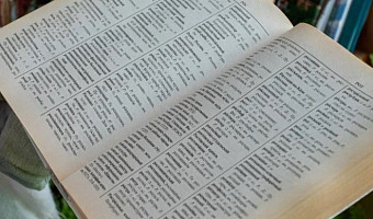 20 слов, которые пишут неправильно даже грамотные люди – тест