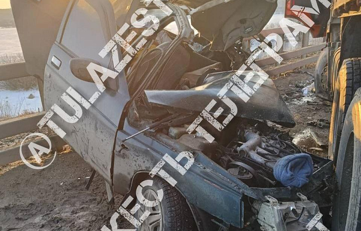 Двое взрослых и ребенок погибли в ДТП в Ефремовском районе