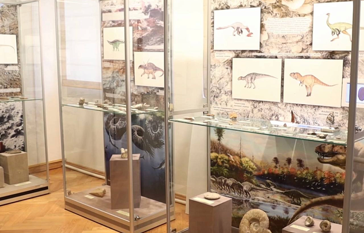 Краеведческий музей впервые показал тулякам зубы динозавров и морского ящера