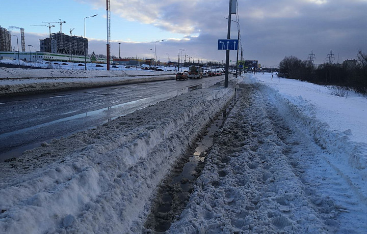 Туляк об уборке тротуаров на Восточном обводе: Там только свиньям валяться в этих лужах