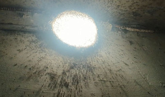 В центре Тулы в подвале пятиэтажки стали расти грибы, а людей в ноябре жрут комары: и все это в 200 метрах от «белого дома»