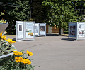 В Центральном парке Тулы открыли выставку, посвящённую 120-летию Крылова