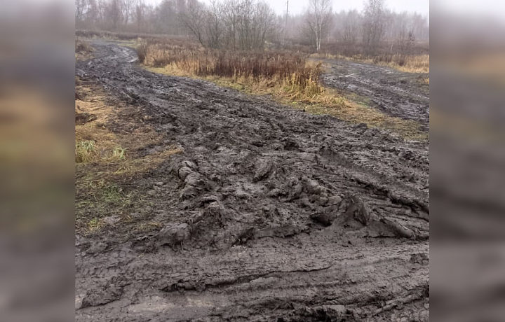 Неизвестные уничтожили дорогу к щекинской деревне Городна: людям предложили идти на остановку по другому пути – три километра