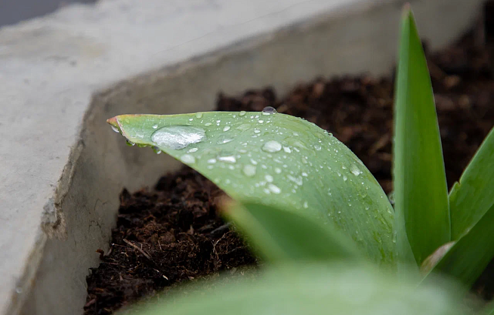 25 апреля Тулу ожидает облачная погода, небольшой дождь и до +18 градусов тепла