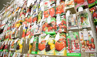 В Тульской области выявили продажу сомнительных семян томатов и перца