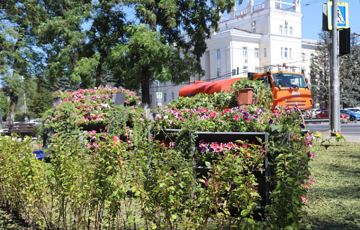 На перекрестке проспекта Ленина и улицы Жаворонкова в Туле появилась зеленая зона