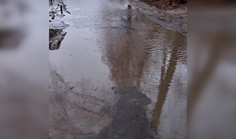 Жители Узловой просят срочно отремонтировать двор: придомовую территорию полностью покрыла вода