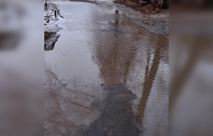 Жители Узловой просят срочно отремонтировать двор: придомовую территорию полностью покрыла вода