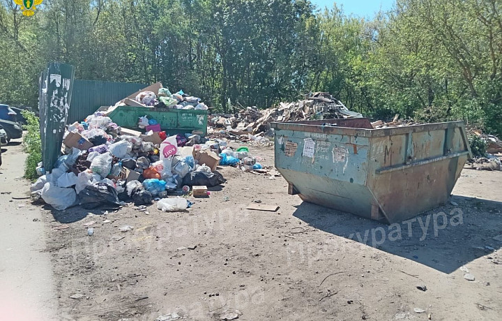 В Плавске Тульской области обнаружили несанкционированную свалку