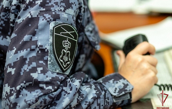 Тульские росгвардейцы пресекли 17 административных правонарушений за неделю