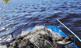 Тульский суд передал более 20 рыболовных сетей в собственность государства