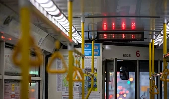 Тульским ветеранам предоставят бесплатный проезд с 9 по 11 мая
