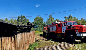 В тульском селе Теплое в пожаре погиб 75-летний пенсионер