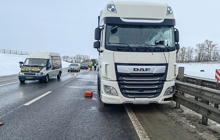 В Ефремовском районе в ДТП погиб водитель большегруза