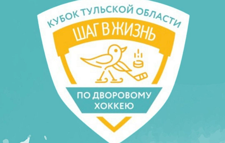 В Туле и Новомосковске пройдет Детский кубок по дворовому хоккею «Шаг в жизнь»
