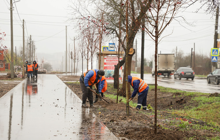 Вдоль веломаршрута «Лев Толстой» в Туле в 2025 году высадят более 180 деревьев