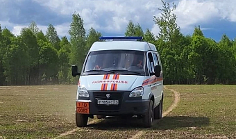 Спасатели обезвредили артиллерийский снаряд времен ВОВ, найденный в деревне Ефремова
