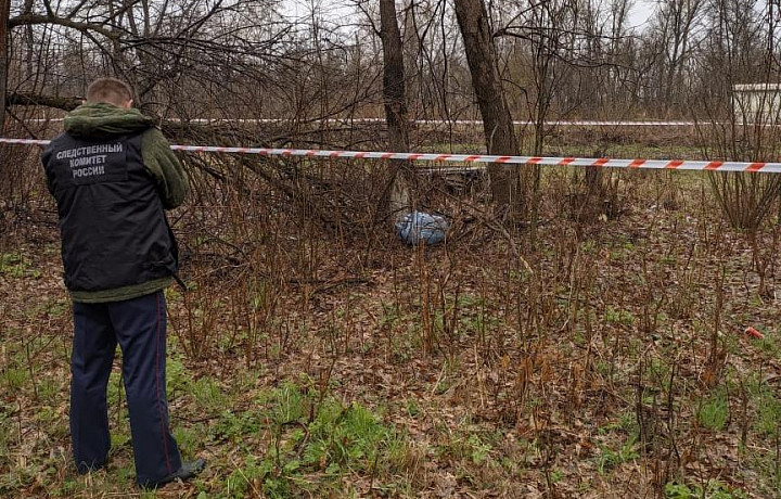 Узловчанин убил знакомого, расчленил тело и спрятал в лесополосе