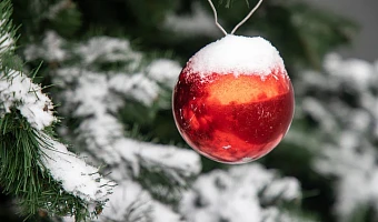 За порядком в Туле 4 января проследит Артем Колосков