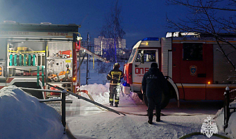 За сутки спасатели потушили пять пожаров в Тульской области