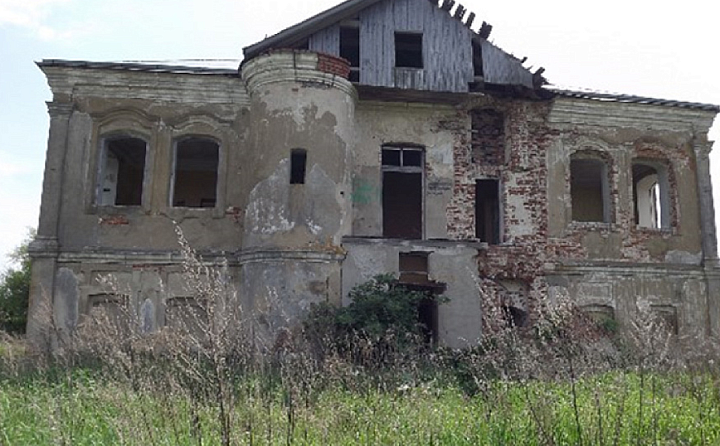 Тульские власти хотят найти нового барина для заброшенной усадьбы под Веневом: она разрушена, стоит в поле, там нет никаких коммуникаций