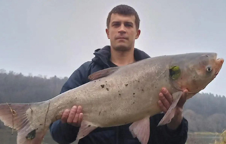 Алексинец поймал в Оке десятикилограммового толстолобика