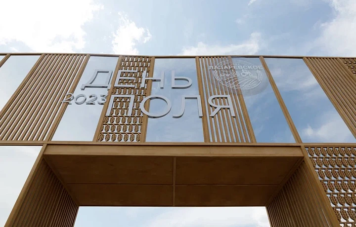 Аргентинцы, сладости и многокилометровая выставка: как проходит «День поля» в Тульской области