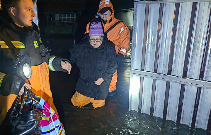 Сотрудники МЧС эвакуировали пожилую жительницу ефремовской деревни