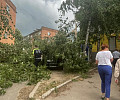 Ураган в Алексине снес крышу здания и сломал многолетнее дерево