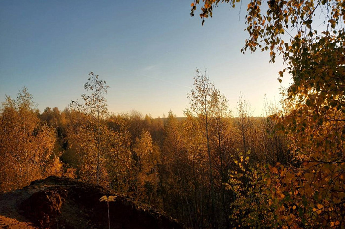 Тульский фотограф поделился красивейшими фото осени в Кимовске