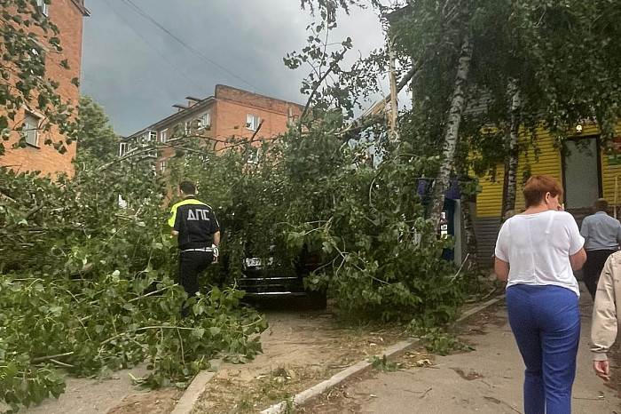 Последствия стихии в креницах. Ураган в туле. Ураган в туле. Ураган в туле сегодня. Ураган в туле заречье.