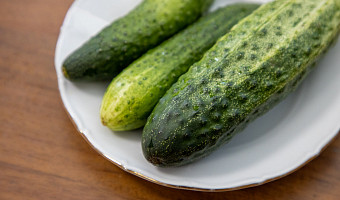 На вес золота: огурцы в Туле уже дороже рыбы и курицы и стоят почти как свинина – почему?