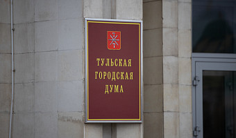 Депутат Тульской гордумы Татьяна Косарева досрочно сложила полномочия