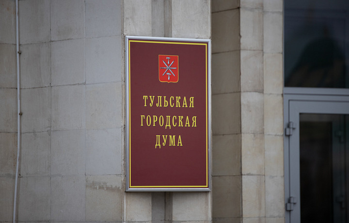 Депутат Тульской гордумы Татьяна Косарева досрочно сложила полномочия