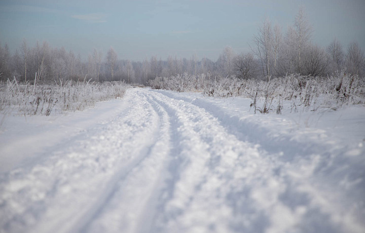 В Тульской области 29 декабря откроют лыжный сезон